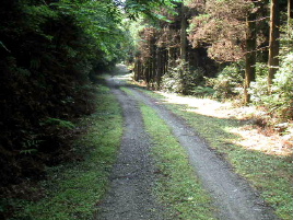 �Ɠc�׌��ѓ�