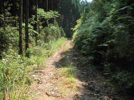 �Ɠc�׌��ѓ�