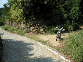 �Ɠc�׌��ѓ�