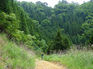 �����z�A4�^ORR