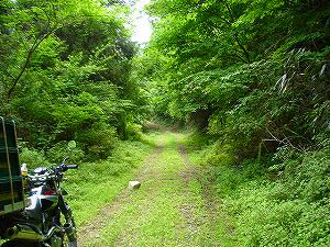 �����z�A5�^ORR