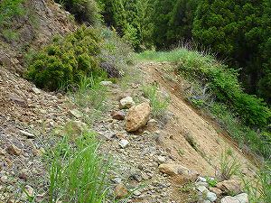 �����z�B4�^ORR