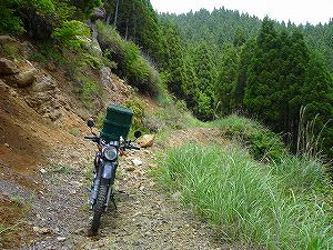 �����z�B5�^ORR