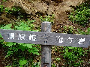 �����z�C1�^ORR