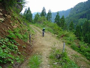 �����z�C2�^ORR