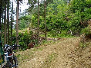 �����z�C3�^ORR