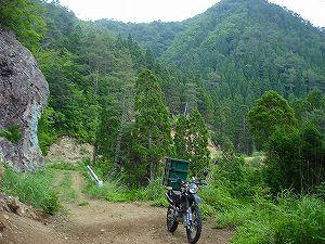 �����z�C4�^ORR