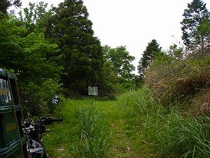 �����z�C5�^ORR