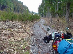 �~��ѓ�6�^ORR