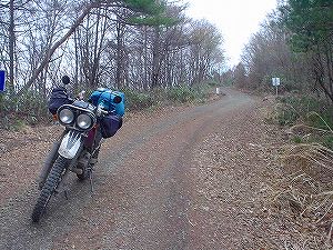 ���h���R�ѓ�5�^ORR