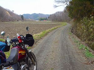 ���h���R�ѓ�6�^ORR