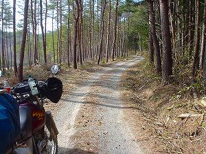 �s�i��ѓ�2�^ORR