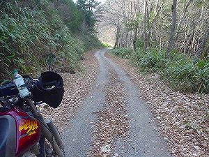 �s�i��ѓ�6�^ORR