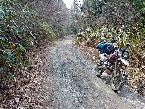 ���c��ѓ�4�^ORR