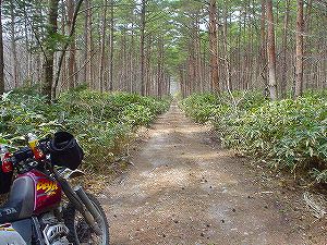 �q����ѓ�2�^ORR