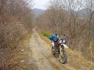 �q����ѓ�3�^ORR