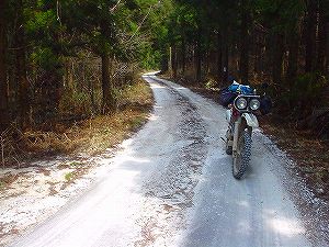 �q����ѓ�6�^ORR