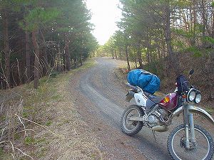 ����ѓ�4�^ORR