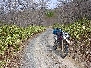 �����{�n�����ڐ�3�^ORR