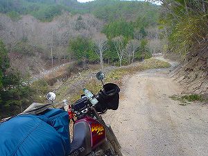 �����Y�ѓ��A2�^ORR