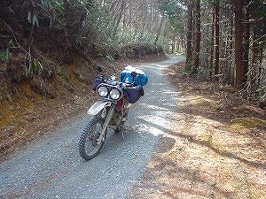 �����Y�ѓ��A4�^ORR