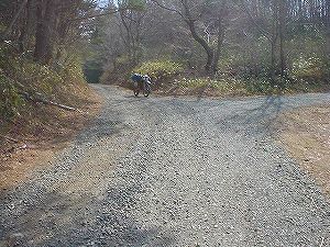 �����Y�ѓ��A5�^ORR