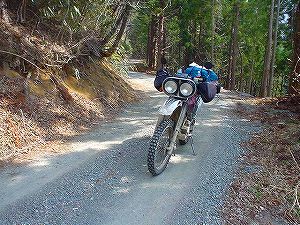 �����Y�ѓ��A6�^ORR