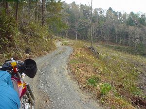 �����Y�ѓ��A1�^ORR