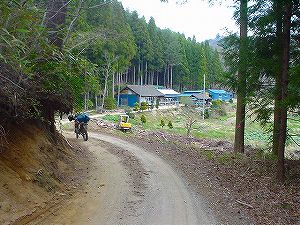 �����Y�ѓ��A2�^ORR