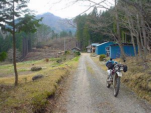 �����Y�ѓ��A5�^ORR