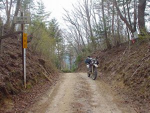 �����Y�ѓ��A7�^ORR