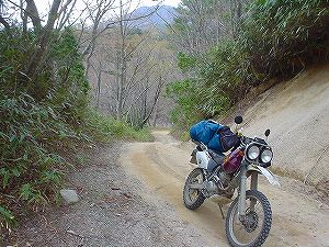 �����Y�ѓ��B1�^ORR