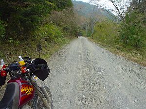 �����Y�ѓ��B6�^ORR