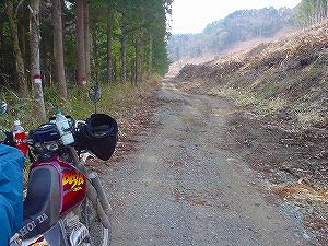 ��J�ѓ�6�^ORR