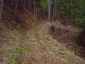 �^�����ѓ��@5�^ORR