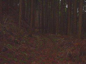 �^�����ѓ��@6�^ORR