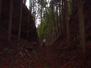 �^�����ѓ��@7�^ORR