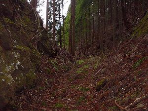 �^�����ѓ��A1�^ORR