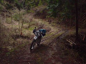 �^�����ѓ��A3�^ORR