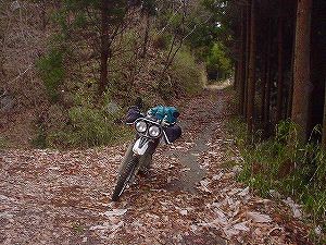 �^�����ѓ��A5�^ORR