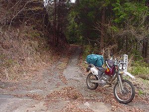 �^�����ѓ��A6�^ORR