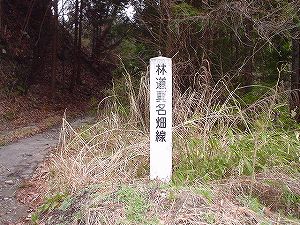 �^�����ѓ��A7�^ORR