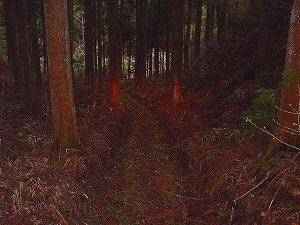 �^�����ѓ��A2�^ORR