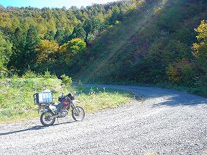 ���R���c�ѓ�4�^ORR