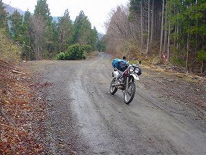 �^�����ѓ�䪉׎x��3�^ORR