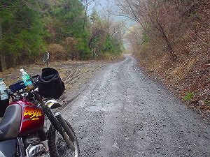 �^�����ѓ�䪉׎x��5�^ORR