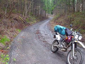 �^�����ѓ�䪉׎x��6�^ORR