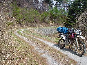 ���\�������ѓ�5�^ORR