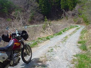 ���\�������ѓ�6�^ORR