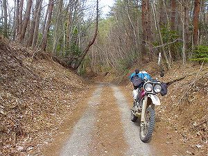 ���˗ѓ��i���˓��j4�^ORR